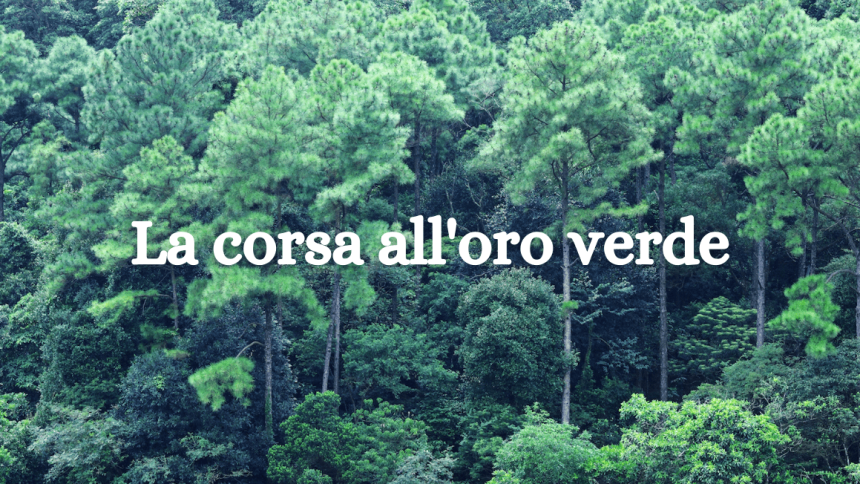 alberi co2 foreste Tutti vogliono piantare alberi (ma lo spazio sta finendo…)