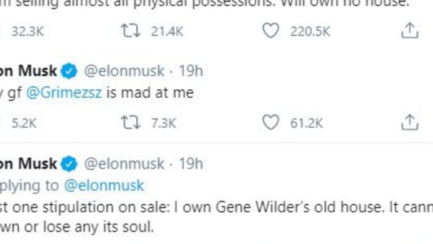 Tesla cerca qualcuno che tolga Twitter dalle mani di Elon
