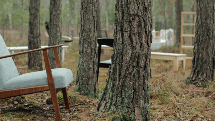ikea foresta L’Ikea compra foreste (per non toccarle)