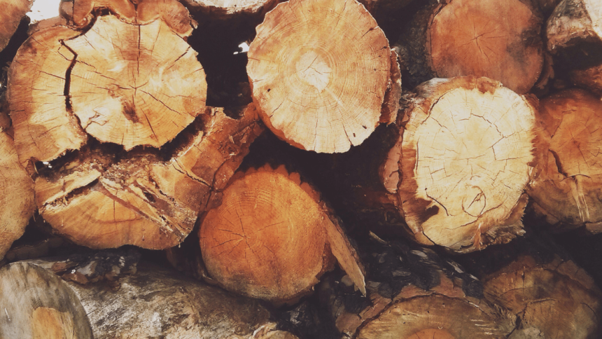 legno Dopo la carne finta, arriva il legno finto?