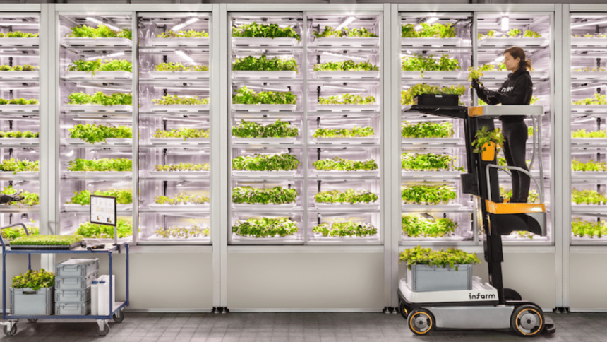 orti verticali vertical farm infarm Il futuro degli orti verticali, oltre le solite insalatine