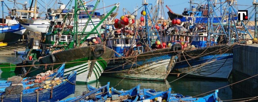 Pesce vegetale: dopo la carne “finta”, anche il pesce diventa vegano