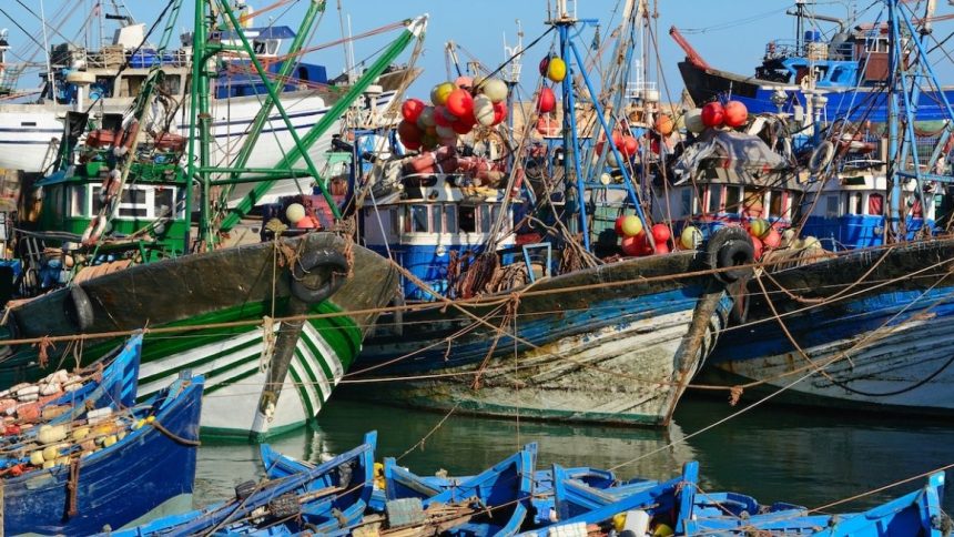 pesce finto Pesce vegetale: dopo la carne “finta”, anche il pesce diventa vegano
