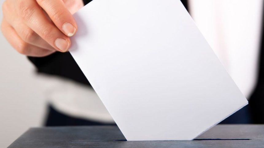 elezioni Elezioni Bologna 2021: quando si vota, chi sono gli 8 candidati a sindaco, liste