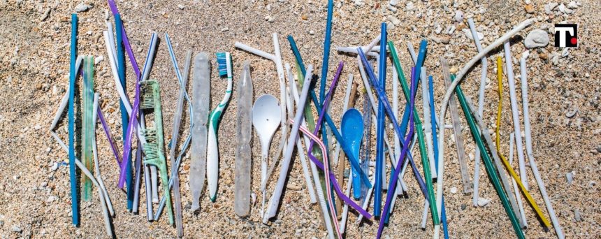 Plastica monouso, lo scontro fra Italia e Unione Europea