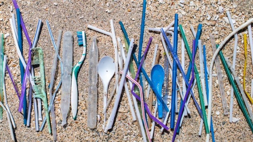 Plastica monouso, lo scontro fra Italia e Unione Europea