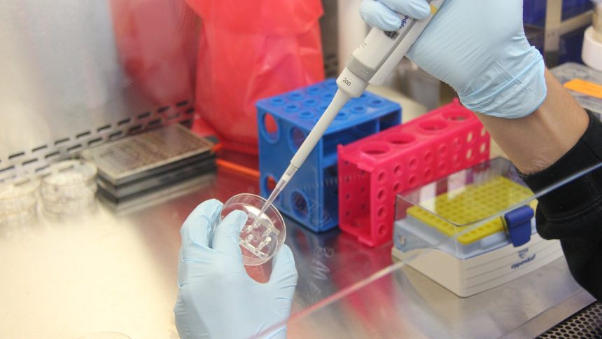 Fecondazione in vitro Fecondazione in vitro