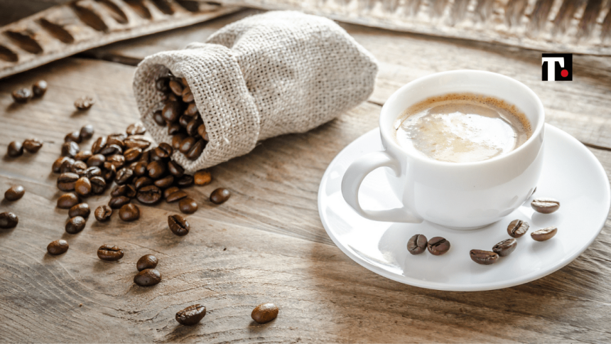 Dal Kenya a Trieste, la strada del caffè sostenibile