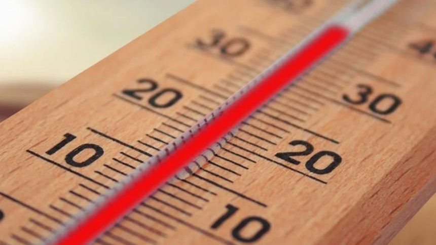 Bollino rosso: le città nella morsa del caldo Bollino rosso: le città nella morsa del caldo