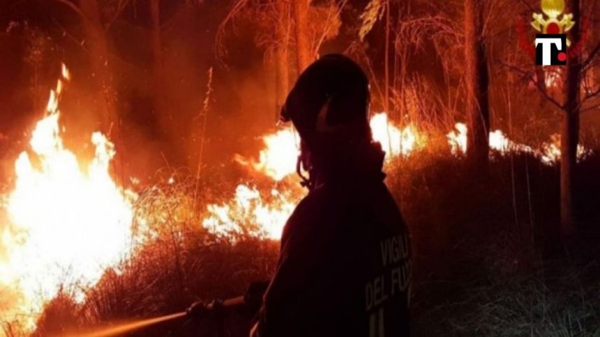 Incendi, al rogo gli aiuti di Stato: “In Sardegna solo 20 milioni”. Pastori, clima e lobby del solare: sulle colpe è tutti contro tutti