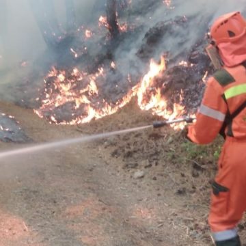 Inviato speciale per il clima italiano, la nomina può attendere (mentre l’Italia brucia)