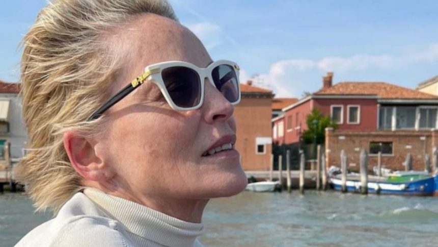 sharon stone nipotino