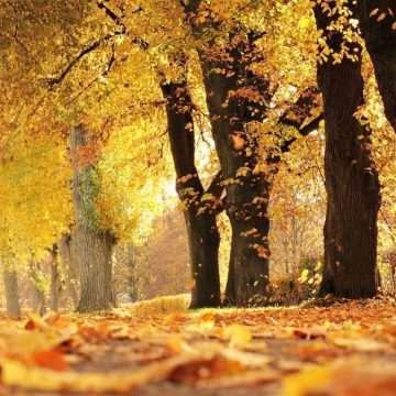 quando inizia l'autunno