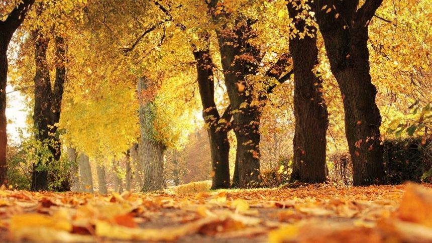 quando inizia l'autunno quando inizia l'autunno