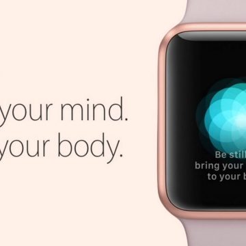 apple salute