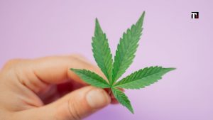 Referendum cannabis legale dove firmare