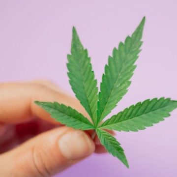 Referendum cannabis legale dove firmare