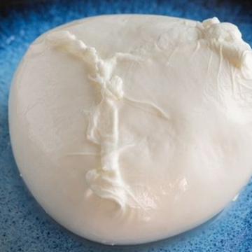 Francia Mozzarella Camembert
