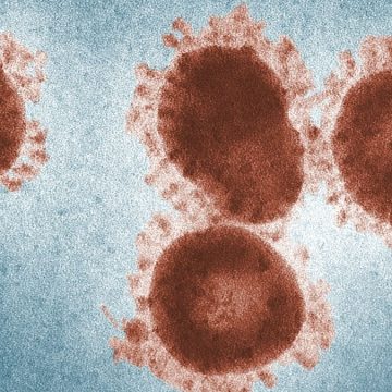 virus rsv