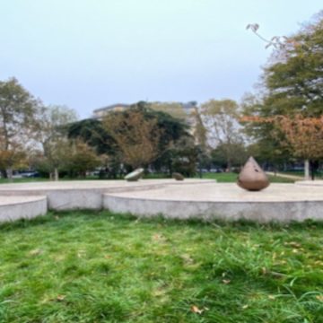 Milano, asfalto e ciliegi. Chi ha vinto la battaglia fra gli alberi e il cemento