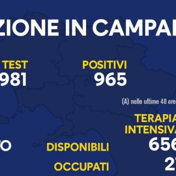 Campania dad 8 dicembre