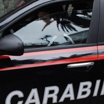 Milano ucciso con motosega Milano ucciso con motosega