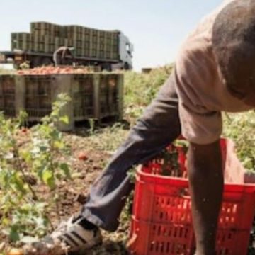 Foggia blitz anti caporalato