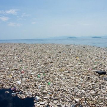 L'isola di plastica nel Pacifico L'isola di plastica nel Pacifico