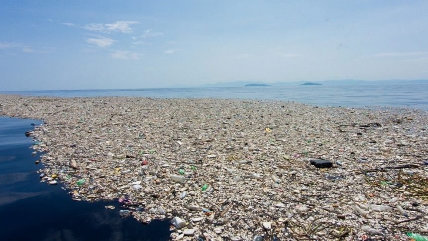 L'isola di plastica nel Pacifico L'isola di plastica nel Pacifico