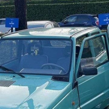 Vidal Panda Vidal Panda