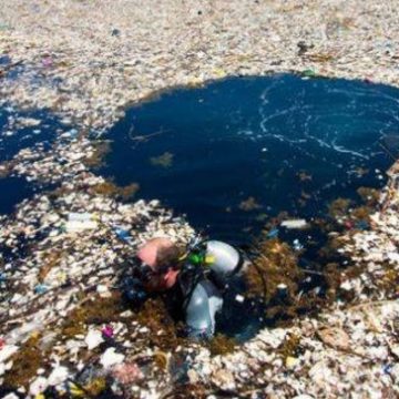 Isole di plastica nel mondo Isole di plastica nel mondo