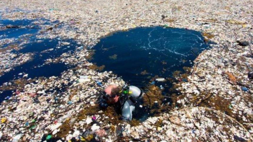 Isole di plastica nel mondo Isole di plastica nel mondo