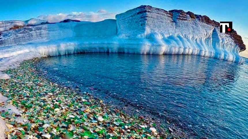 Ussuri Bay, da “spiaggia discarica” a luogo dai mille colori