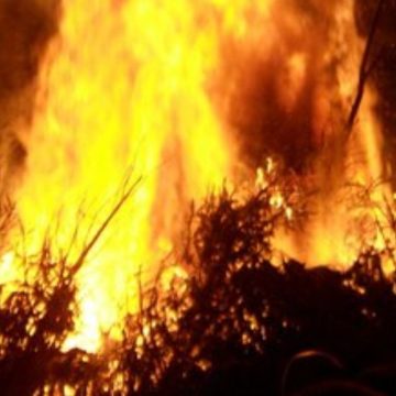 Il falò di Sant'Antonio