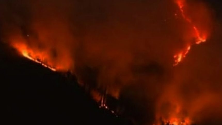 Incendio a Sesto Fiorentino Incendio a Sesto Fiorentino