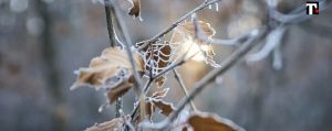 Meteo inizio settimana