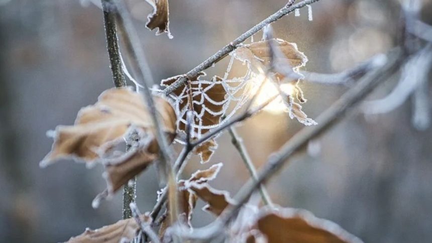 Meteo inizio settimana Meteo inizio settimana
