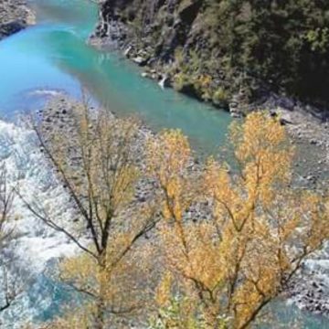 Quattro ventenni morti in auto