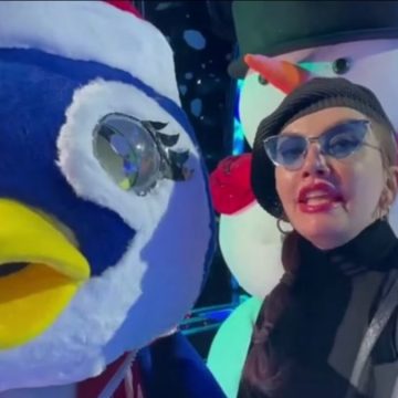 Chi è Pinguino Cantante Mascherato