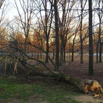 Allerta meteo Milano