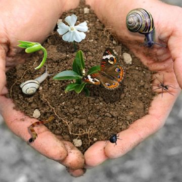 La biodiversità ora è tutelata dalla Costituzione. Ciafani (Legambiente): “Dalle parole ai fatti”