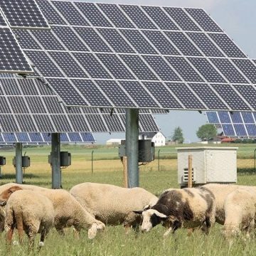 Energia, la sovranità arriva dall’agricoltura. Così l’Italia diventa un “parco agrisolare”