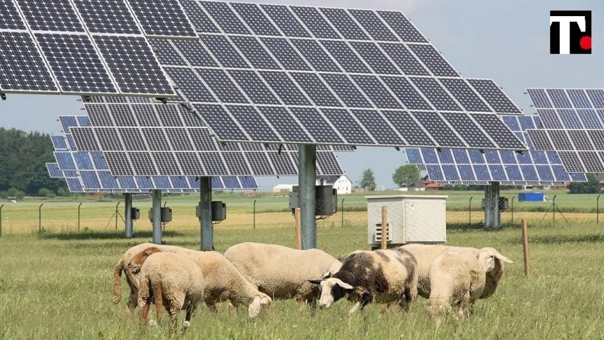 Fotovoltaico in agricoltura La “tempesta solare” cinese spaventa l’Ue: la soluzione arriva dall’Italia?