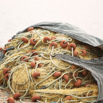 I nuovi smartphone sono fatti di reti da pesca riciclate