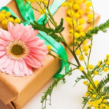 Festa della donna: il perchè della mimosa