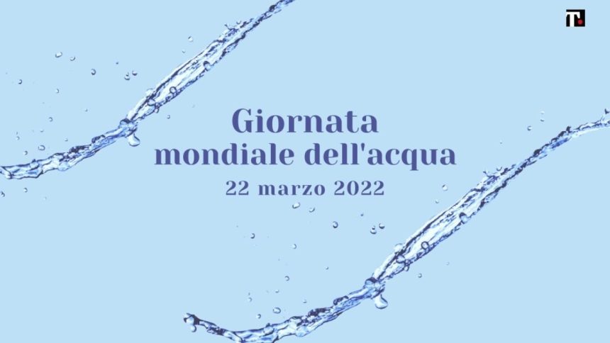 Giornata mondiale dell'acqua 2022