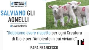 Il volantino degli animalisti