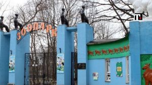Zoo di Kharkiv bombardato 