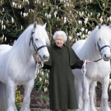 regina elisabetta pony
