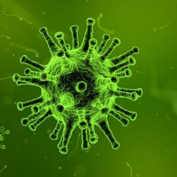 adenovirus epatite bambini